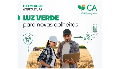 Foto de Cr�dito Agr�cola lan�a campanha 'com luz verde' para apoiar o setor agr�cola