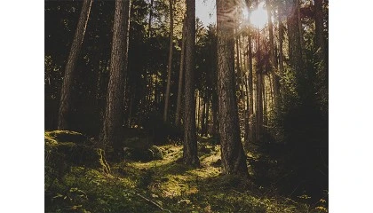 Foto de Navigator refor�a apoio aos produtores afetados pela tempestade Kristin