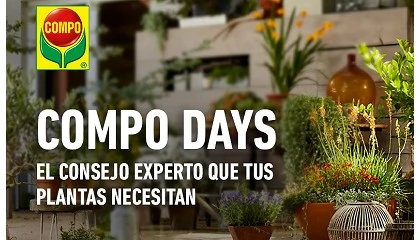 Foto de Compo lanza �Compo Days�, una gira por Espa�a para acercar el asesoramiento experto al consumidor