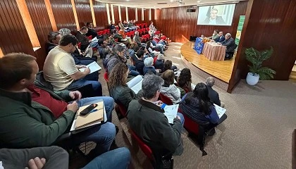 Foto de Os cereais e a Import�ncia da cria��o de uma organiza��o de produtores