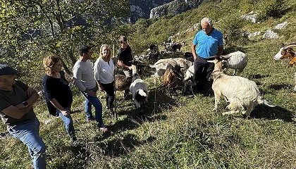 Foto de Cantabria inicia el pago de las ayudas a la ganader�a sostenible de ovino y caprino