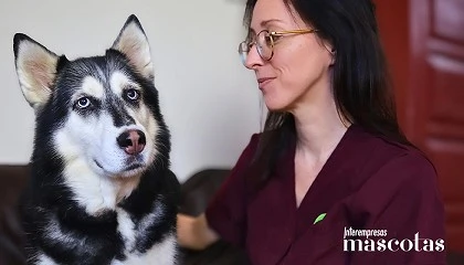 Foto de Nutrición canina en criadores: entender la fisiología para elegir mejor