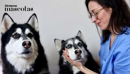 Foto de El vac�o en la nutrici�n canina: por qu� el tama�o del perro importa m�s de lo que se ha reconocido