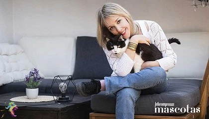 Foto de Enriquecimiento ambiental felino: una variable estratégica en el desarrollo de producto y la especialización del canal pet
