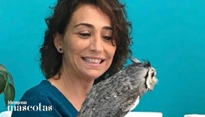 Foto de Transporte internacional de animales de compañía: normativa, bienestar y soluciones técnicas para el sector pet