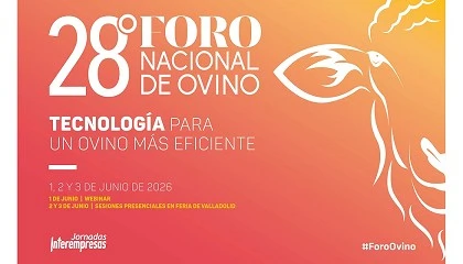 Foto de El Foro Nacional de Ovino abre ya inscripciones para el evento referente en el sector