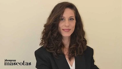 Foto de Grooming profesional del pomerania: la importancia de respetar el ciclo del pelo