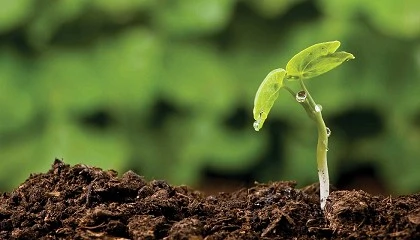 Foto de El sector de los biopl�sticos reivindica unidad para acelerar la transici�n hacia la bioeconom�a