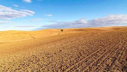 Foto de El sector agroalimentario de Castilla y Le�n gana competitividad y supera en un 13% la media nacional