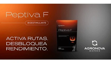 Foto de AGRONOVA Biotech presenta Peptiva F, un bioestimulante foliar de nueva generación