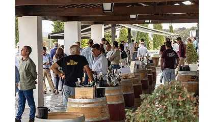 Foto de Regenerative Wine Fest regressa a 16 de maio ao Alentejo