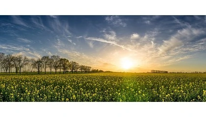 Foto de ICNF promove ciclo de workshops sobre Plano Nacional de Restauro da Natureza