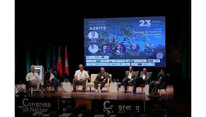 Foto de Inova��o, intelig�ncia artificial e competitividade marcam debate sobre o azeite