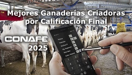 Foto de Listado de las cien mejores ganader�as criadoras por Calificaci�n Final de 2025
