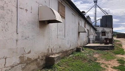 Foto de Reducción de olores y emisiones de amoniaco en granjas porcinas y bovinas