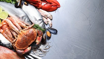 Foto de Grupo Brasmar participa na Seafood Expo Global 2026