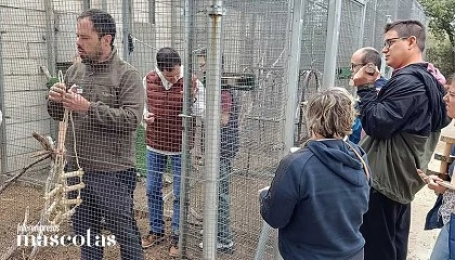 Foto de Participantes de Down Madrid instalan en el CRAS las casas y juguetes que han creado y que ahora sirven de estímulo para animales rescatados