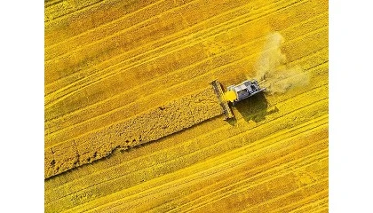 Foto de Bruxelas debate pre�o de adubos e promete apoio aos agricultores
