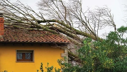 Foto de Governo pede apoio europeu ap�s preju�zos com tempestades