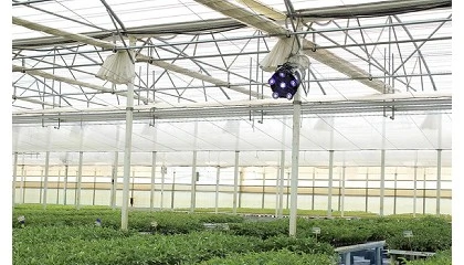 Foto de Cuando la Tuta deja de ser una preocupaci�n en el semillero