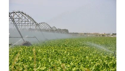 Foto de Andaluc�a aplaza pagos del agua de 2025 a regantes afectados por las borrascas