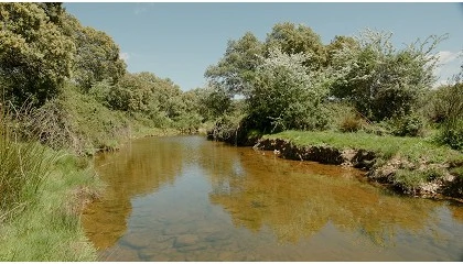 Foto de Nestl� Waters regenera m�s de 1,6 millones de m3 de agua