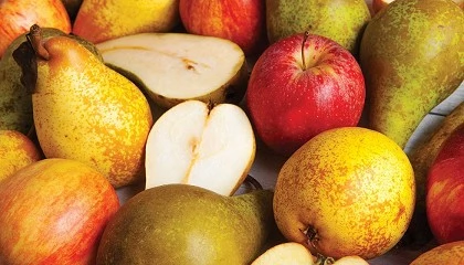 Foto de Projeto Frutotal cria preparados de fruta enriquecidos a partir de excedentes