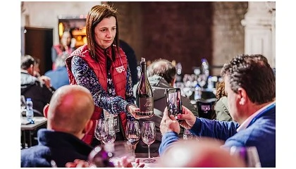 Foto de �Tejo a Copo� convida a descobrir os vinhos do Tejo em Santar�m