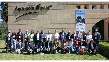 Foto de Expertos internacionales se reúnen en Marruecos en el marco del proyecto Soil O-Live