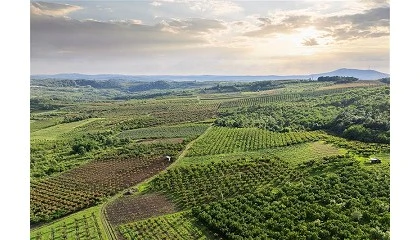 Foto de Optimizar el uso de nutrientes en un contexto energético desafiante