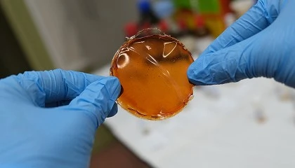 Photo de ICMM-CSIC desarrolla una membrana que multiplica por diez la eficiencia en la purificaci�n de hidr�geno