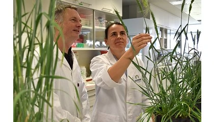 Foto de Anove celebra el paso adelante de la UE para aprobar las nuevas t�cnicas gen�micas