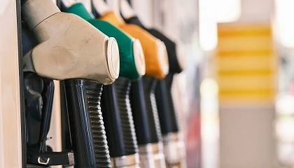 Foto de La CNMC archiva la investigaci�n sobre las estrategias de precios de bp, Moeve y Repsol en 2022