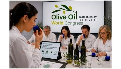 Foto de El an�lisis sensorial del AOVE se abre al consumidor y redefine el concepto de calidad