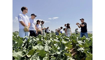 Photo de Bimi destaca la experiencia de consumir esta verdura en barbacoa en una jornada en Murcia
