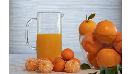 Foto de Intercitrus registra en la UE su campa�a de promoci�n 2027-2029 para los mercados de Alemania, Francia y Reino Unido