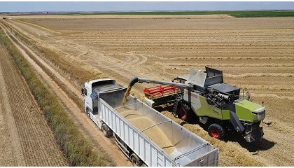 Foto de El precio de los cereales repunta influenciado por la guerra en Ir�n
