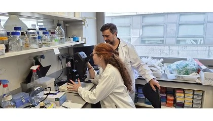 Foto de Un nuevo estudio revela c�mo act�an las ra�ces ante la escasez de nutrientes