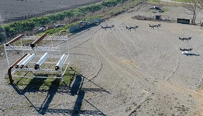 Foto de Catec obtiene su quinto proyecto del Fondo Europeo de Defensa con el programa Trident