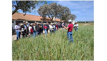 Foto de Culturas de cobertura e biodiversidade em debate em Dia Aberto dedicado ao solo