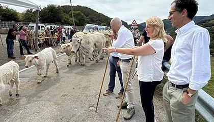 Foto de Cantabria convoca ayudas para impulsar el cebo de razas locales amenazadas