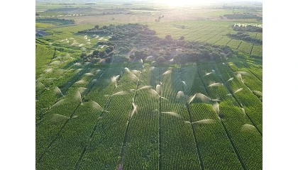 Foto de Arag�n afronta la modernizaci�n del regad�o tradicional como 