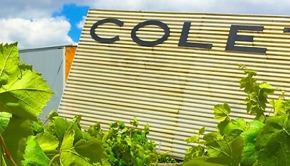 Foto de De campesinos arrendatarios a vignerons: Colet reivindica la vi�a como origen del vino