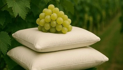 Foto de La vendimia: el primer paso hacia el �xito del vino en el mercado