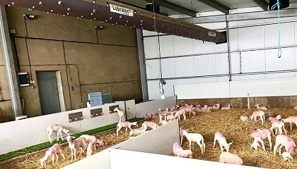 Foto de El decisivo papel (negativo) de la humedad en el bienestar ambiental de nuestras instalaciones ganaderas (II): �C�mo gestionarlo?