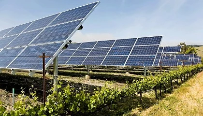 Foto de Intersolar Mexico impulsa la agrovoltaica como solución estratégica nacional