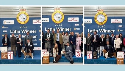 Foto de Un bulldog ingl�s y un basset hound se coronan como los campeones indiscutibles en las Exposiciones Internacionales Caninas de 2026