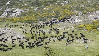 Foto de Más de 1.000 ganaderías europeas ayudan a entender mejor el sector desde el territorio