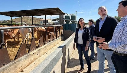 Foto de La Regi�n de Murcia destina un mill�n de euros en su convocatoria para las ADSG