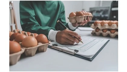 Foto de Trouw Nutrition certifica MyEggPrint, que reduz pegada do ovo at� 30%